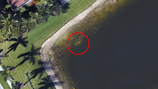 Google Earth revela los restos de un hombre desaparecido hace 22 años en un lago de Florida